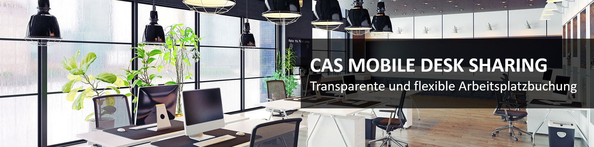 CAS_MDS_Web
