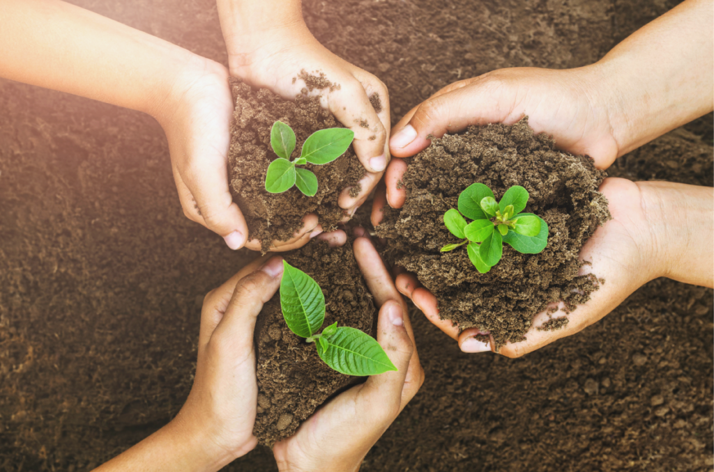 Menschhände-halten-Erde-und-kleine-Pflanzen-in-der-Hand_Nachhaltigkeit CO2-Daten-messen-mit-Data-Sustain