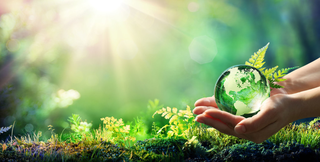 Hands,Holding,Globe,Glass,In,Green,Forest,-,Environment,Concept CAS AG - Klimaneutrales und nachhaltiges Unternehmen