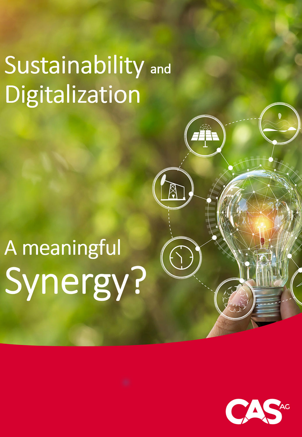 White Paper on Sustainability and Digitalizationation