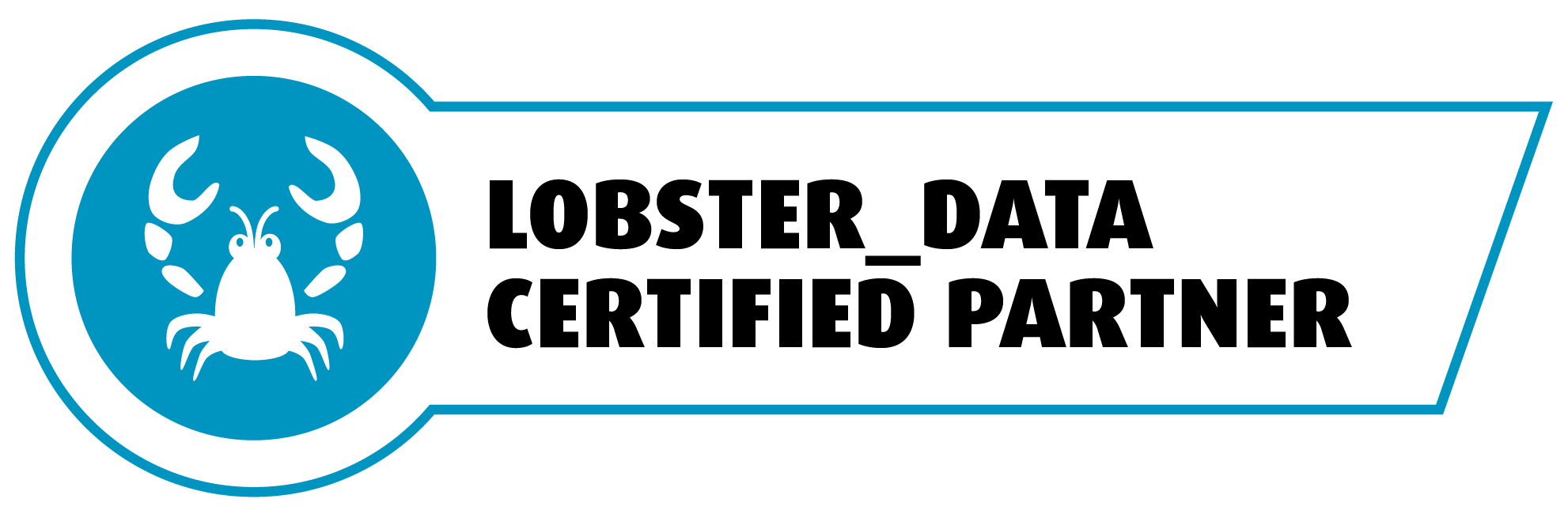Lobster Data Partner
