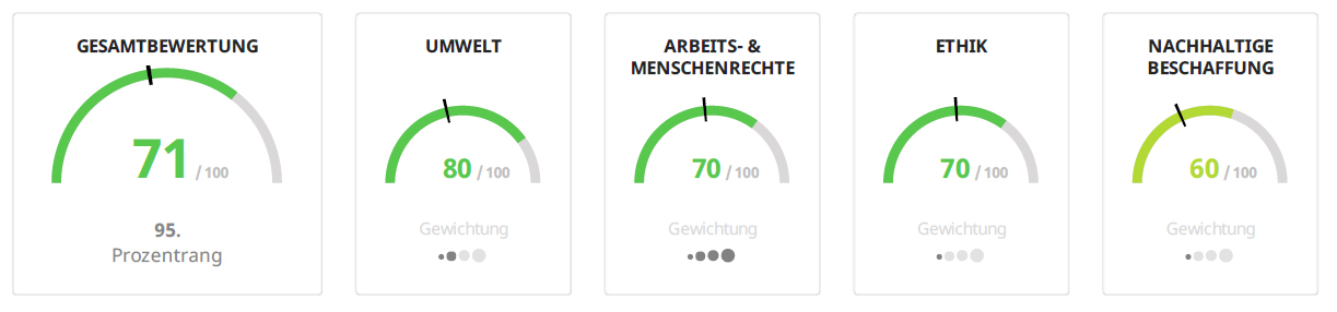 EcoVadis Scorecards für CAS AG Nachhaltigkeit