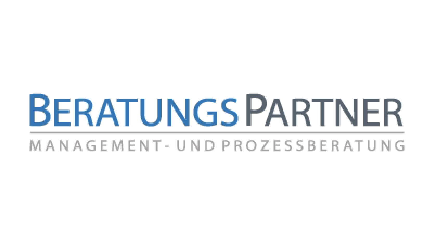 Business Partner Netzwerk Beratungspartner