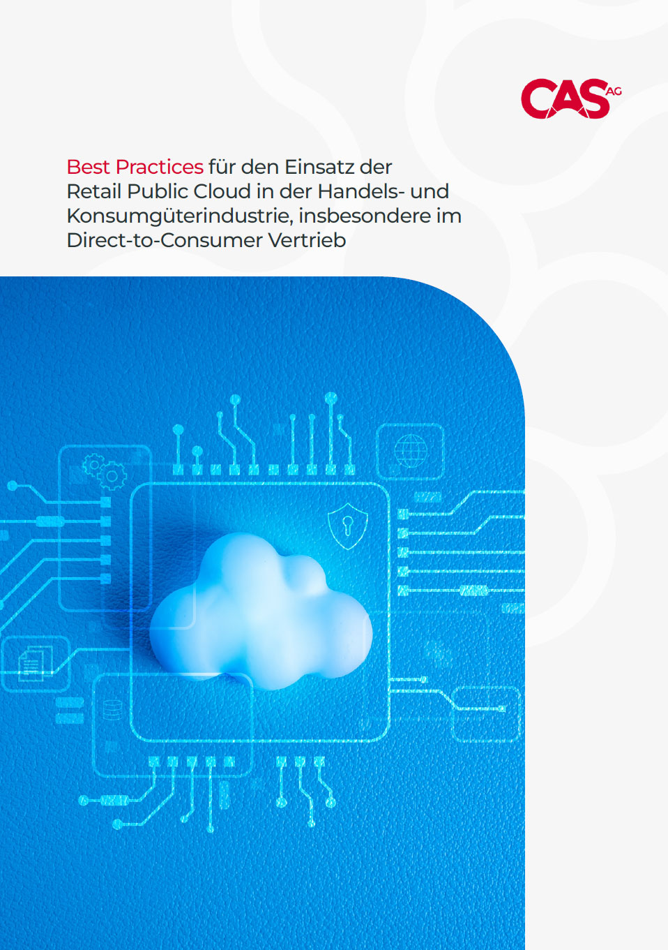 Best Practices für den Einsatz der Retail Public Cloud in der handels- und Konsumgüterindustrie, insbesondere im Direct-to-Consumer Vertrieb