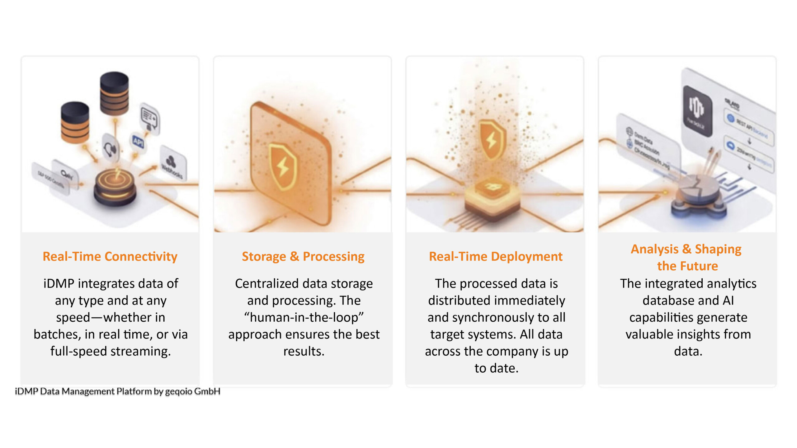 The geqoio iDMP Process